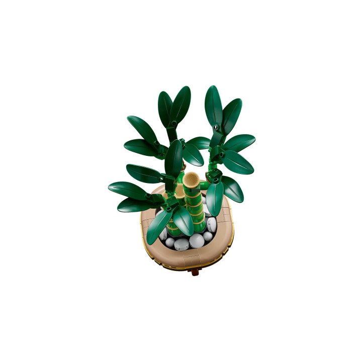 LEGO Botanicals 10344 - Glücks-Bambus