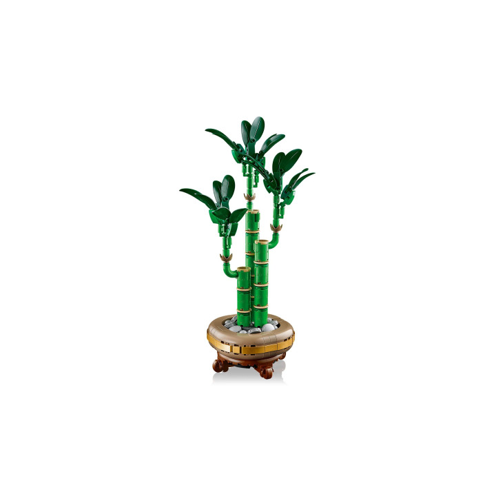 LEGO Botanicals 10344 - Glücks-Bambus
